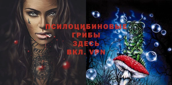 mdma Новозыбков