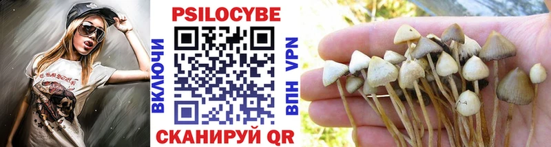 Псилоцибиновые грибы мухоморы  Купить где  Таганрог 