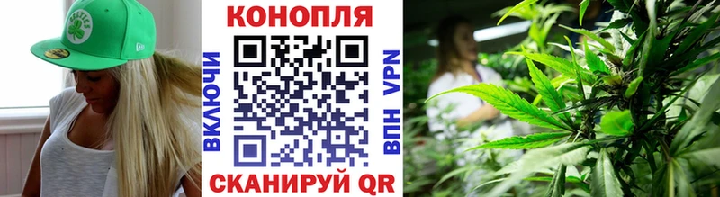 Купить где  Таганрог  Канабис White Widow 